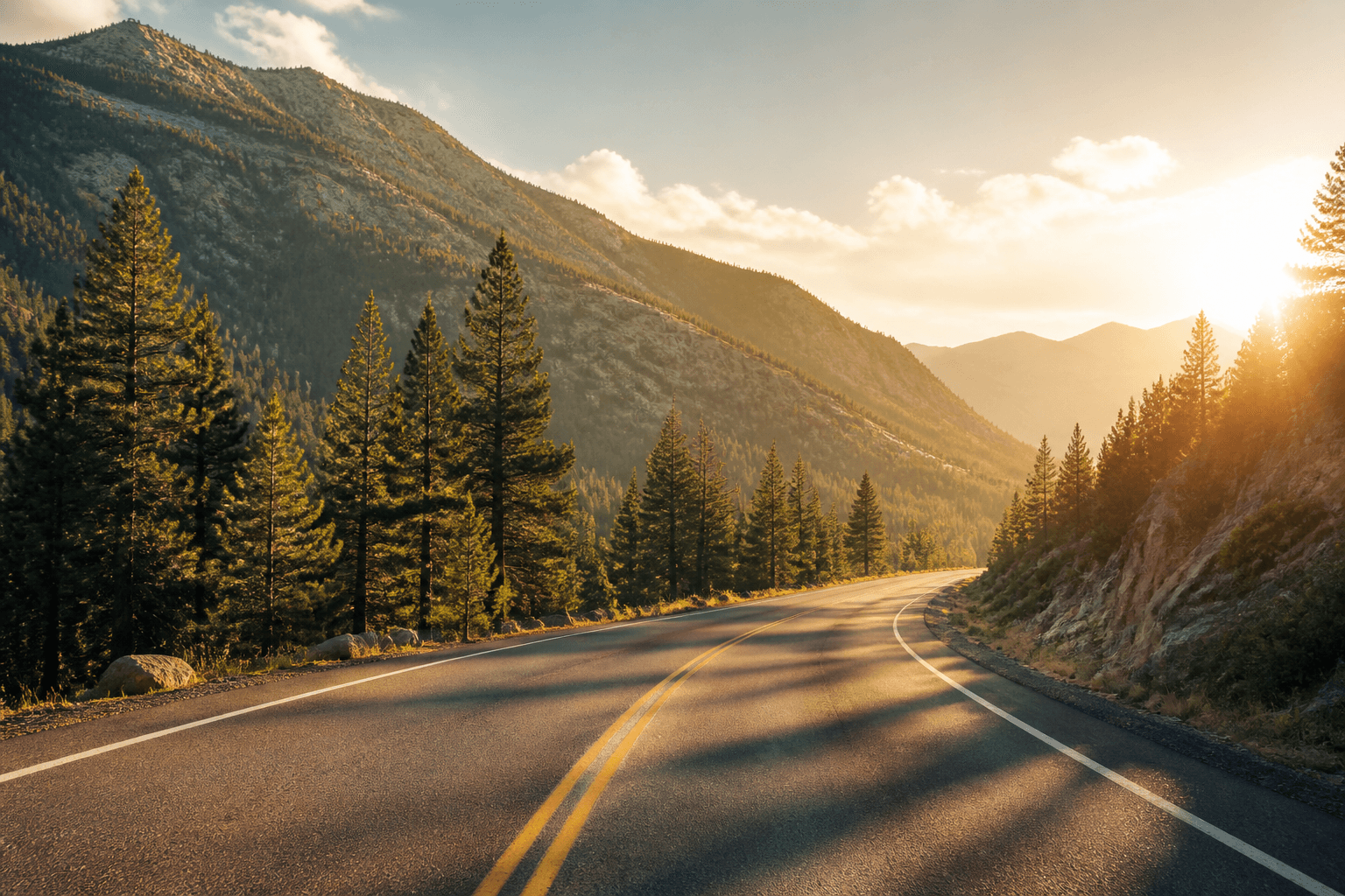 Golden-hour light across a mountain highway through pine forest