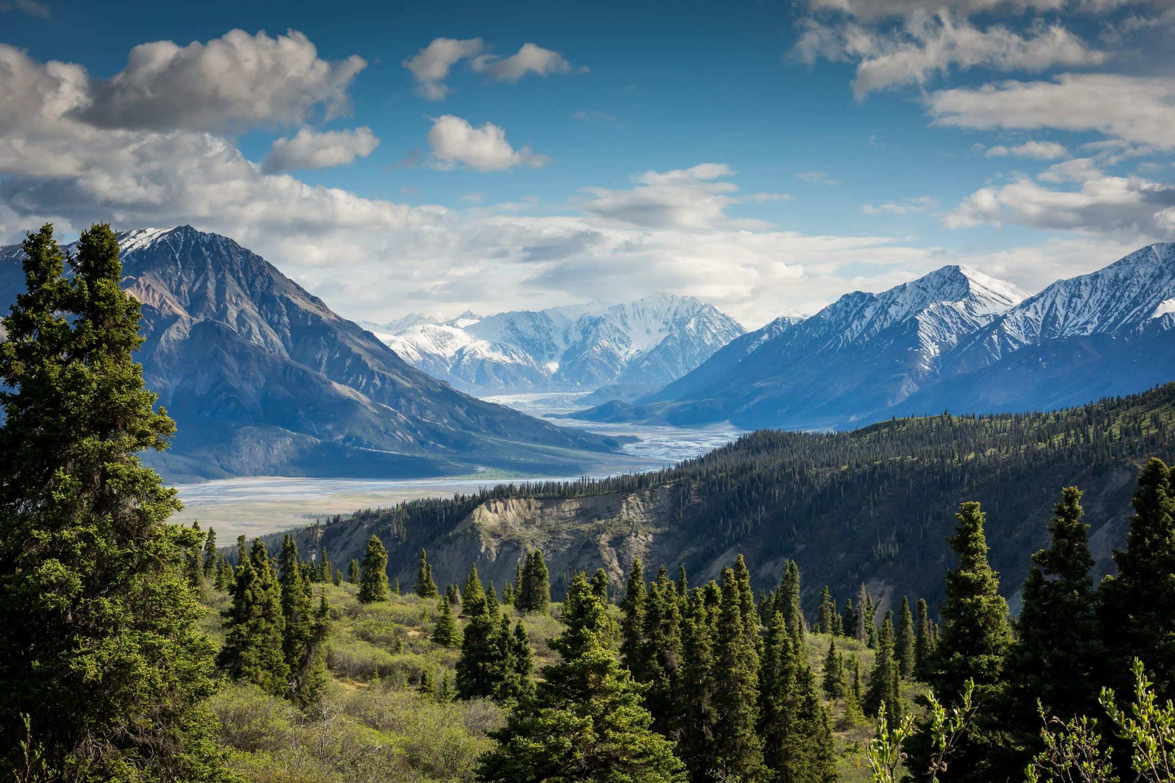 A winding mountain highway through misty Pacific Northwest spruce forest